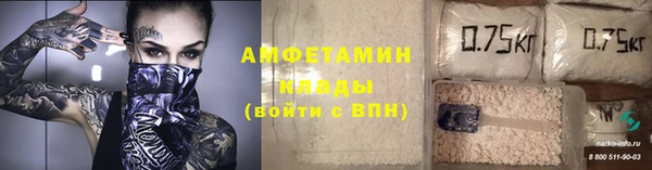 стафф Алексин