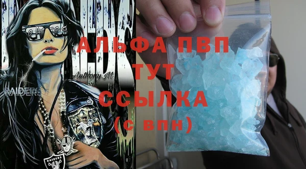 стафф Алексин