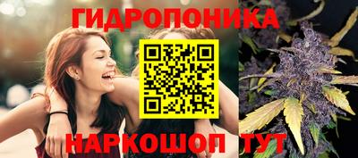 марихуана Будённовск